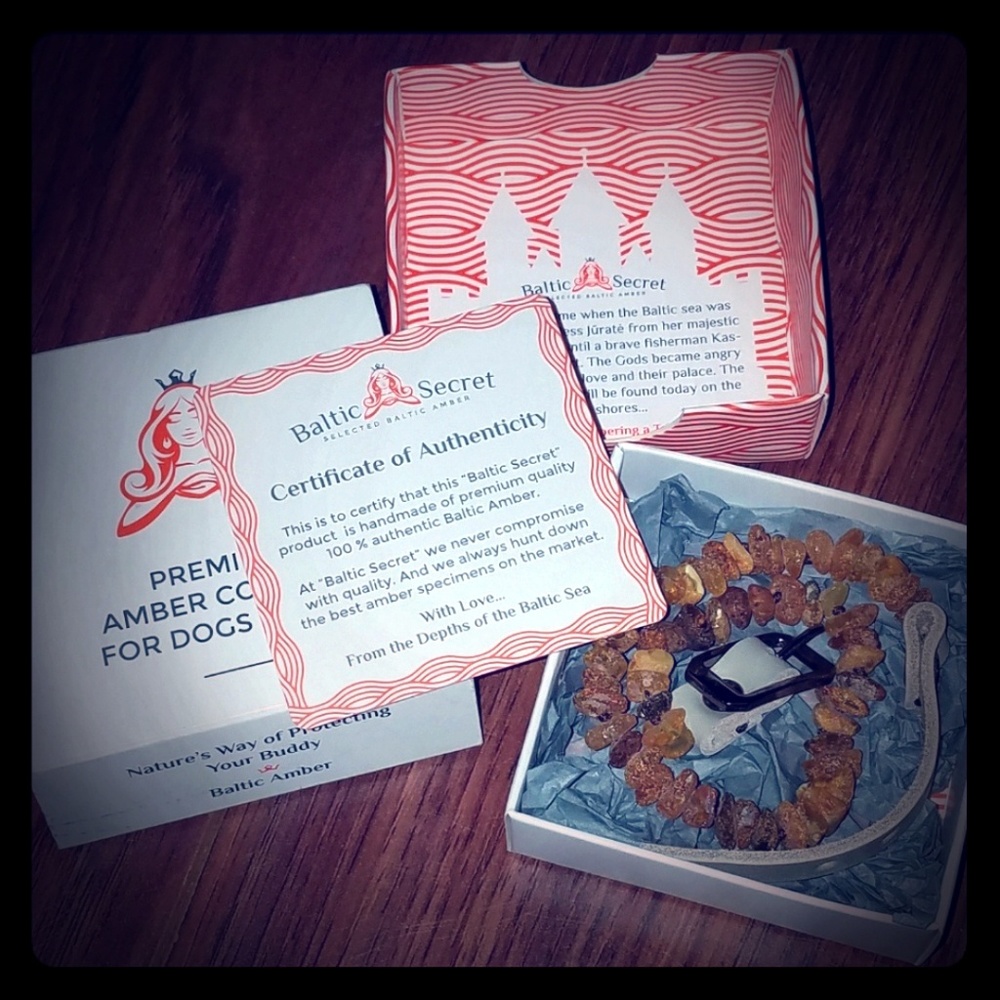 🔥NWT🔥🐱Collar🐶